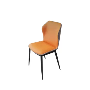 Modern Minimalism Dining Chair IRDC-018